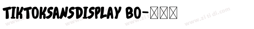 TikTokSansDisplay Bo字体转换